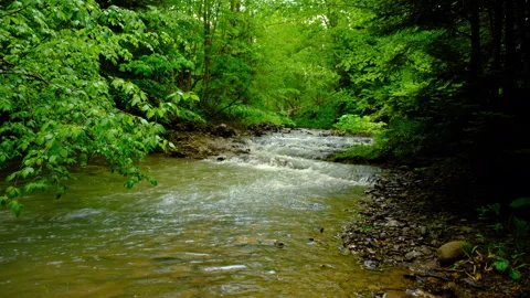Beautiful mountain river water with stone rapids and splashes at summer time Stock Footage 330678764