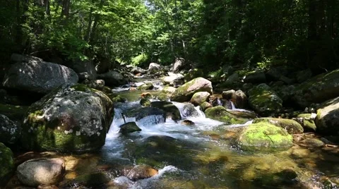 Beautiful mountain river in the wild forest. Siberia, Russian Far East Video stock 67253149