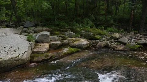 Beautiful mountain river in the wild forest. Siberia, Russian Far East Stock-Footage 67253449
