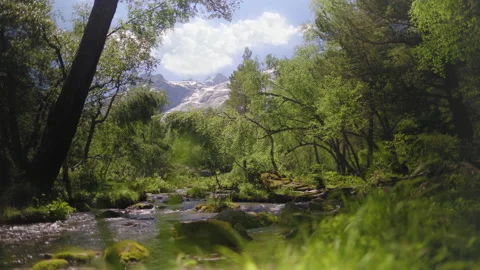 Beautiful Mountain Rver Flows From High Mountains Stock Footage 157994130