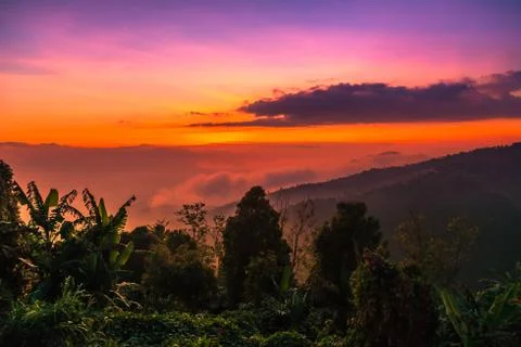 Beautiful mountain scenery view on with forest at sunset time, Bali, Indonesia Stock Photos
