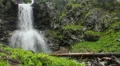 Beautiful mountain scenery, waterfall in the woods, wild life HD Footage