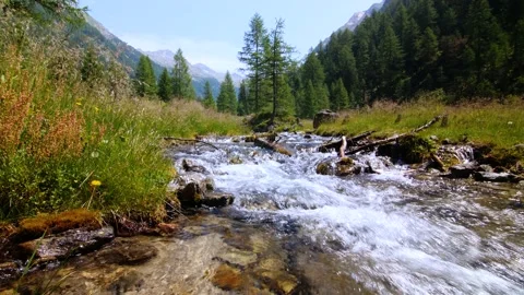 Beautiful mountain stream in the alps of Austria Stock Footage 158622971