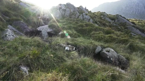 Beautiful mountain stream background shot with bright sunshine Vídeo Stock 142580754