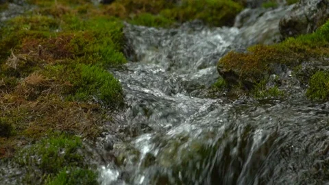 Beautiful mountain stream. Clear water. ... | Stock Video | Pond5