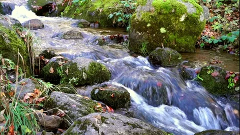 Beautiful Mountain Stream Deep In The Forest High In The Mountain In Autumn Stock Footage 70705689