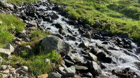 A beautiful mountain stream. Drinking water pours over stones Stock-Footage 135333865
