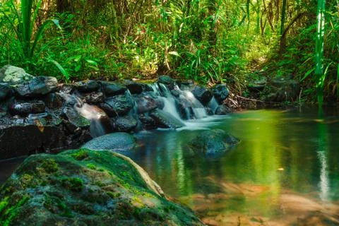 Beautiful mountain stream flow through abundant forests in rainforest of Koh Stock Photos