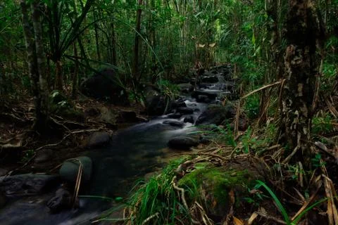 Beautiful mountain stream flow through abundant forests in rainforest of Koh Stock Photos