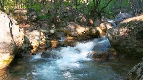 Beautiful mountain stream Stock Footage 21995012