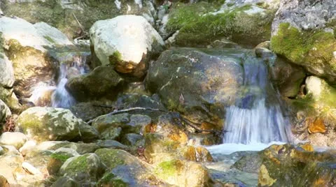 Beautiful mountain stream Stock Footage 21995528