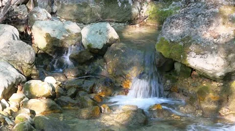 Beautiful mountain stream Stock Footage 21997667