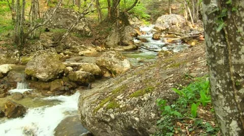 Beautiful mountain stream Stock Footage 21998621