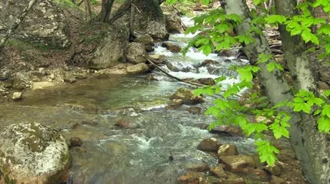 Beautiful mountain stream Stock Footage 22007788