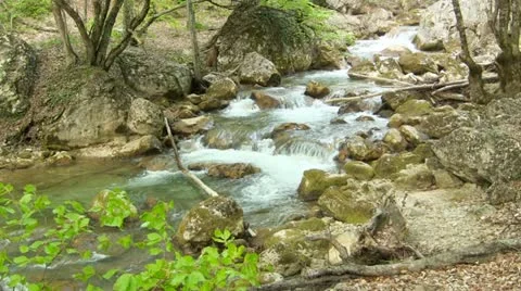 Beautiful mountain stream Stock Footage 22015919
