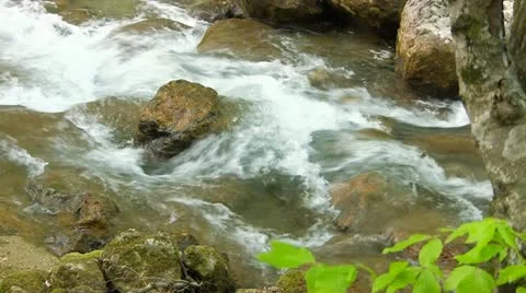 Beautiful mountain stream Stock Footage 22019917