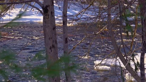 A beautiful mountain stream Stock Footage 171420408