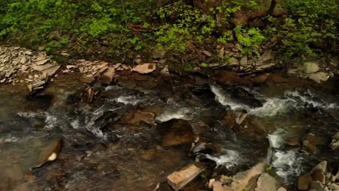 Beautiful mountain stream in the forest	 Stock Footage 149318301