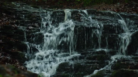 Beautiful mountain stream in forest at spring time. Crystal clear water Stock Footage 329571796