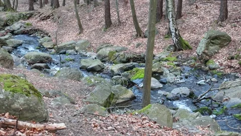 Beautiful mountain stream near Sofia, Bulgaria. Stock-Footage 332127869