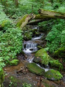 Beautiful mountain stream 库存照片