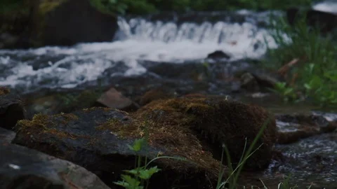 Beautiful mountain stream, rapids. Spring nature Video stock 126970613