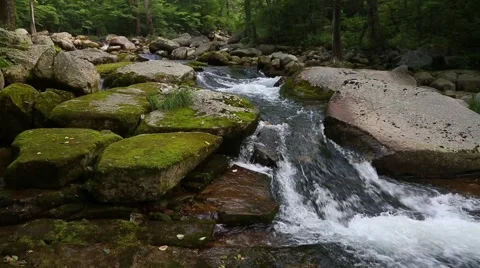 Beautiful mountain stream in a remote area. Siberia, Russian Far East Stock Footage 67253462