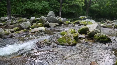 Beautiful mountain stream in a remote area. Siberia, Russian Far East Stock Footage 67253463