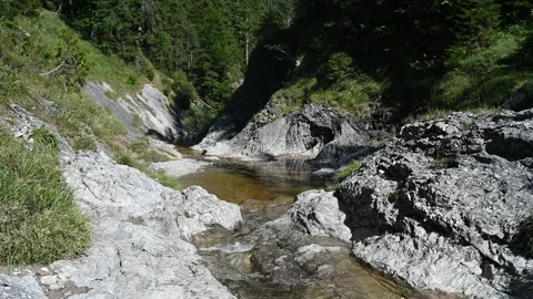 A beautiful mountain stream with rocks in a forest Stock Footage 219647735