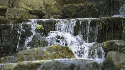 Beautiful mountain stream running over mossy rocks in the forest Stock Footage 80670842