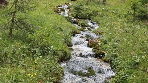 A beautiful mountain stream runs Stock Footage 119956102