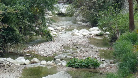 Beautiful mountain stream with scree Stock Footage 98871864