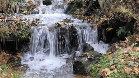 Beautiful mountain stream (with sound) Stock Footage