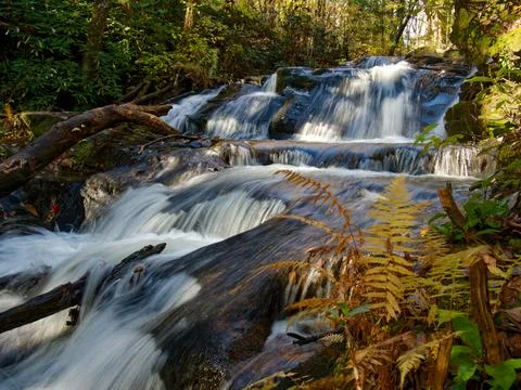 Beautiful mountain stream surrounded by autumn colors Stockfoto's