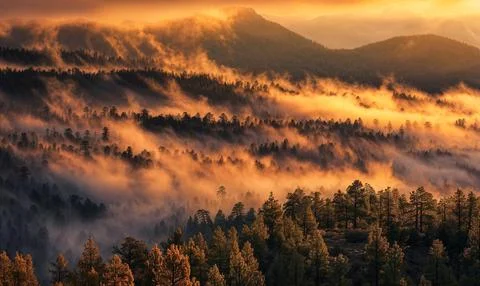 Beautiful mountain sunset view with forests and rocks Stock Photos
