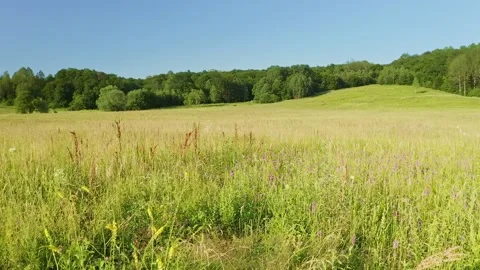 Beautiful mountain valley Stock Footage 169431341