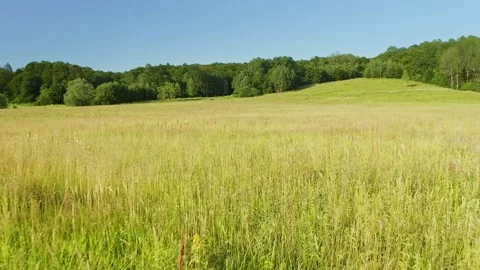 Beautiful mountain valley Stock Footage 169431495