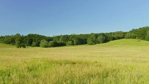 Beautiful mountain valley.  Stock Footage 169431688