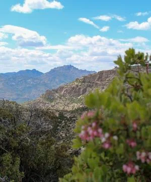 Beautiful Mountain View from Arizona Stock Photos