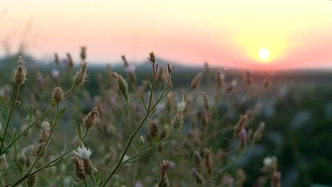 The beautiful mountain view in the background of the cloud sunset HD 動画素材 76602261
