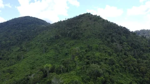 Beautiful mountain view filled with dense trees, close up aerial view Stock Footage 310972696