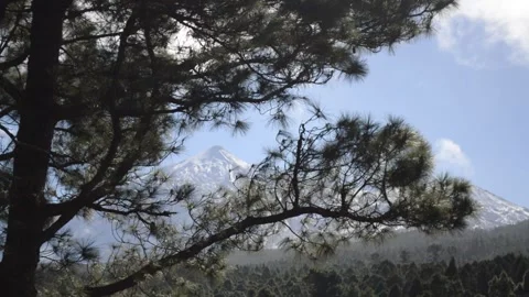 Beautiful mountain view forest pine Tenerife volcano Teide clouds 4 Video stock 148540312