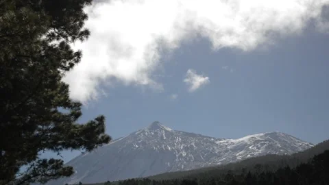 Beautiful mountain view forest pine Tenerife volcano Teide clouds 1 Stock Footage 148540330
