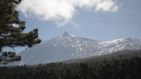Beautiful mountain view forest pine Tenerife volcano Teide clouds 2 Stock Footage 148540331