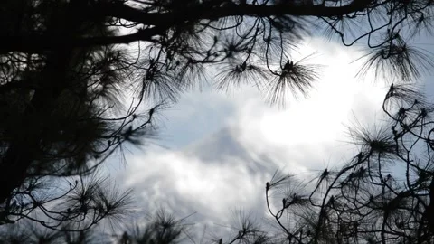 Beautiful mountain view forest pine Tenerife volcano Teide clouds 6 Stock Footage 148540443