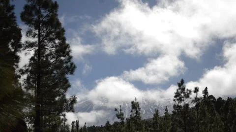 Beautiful mountain view forest pine Tenerife volcano Teide clouds 10 Stock Footage 148540449