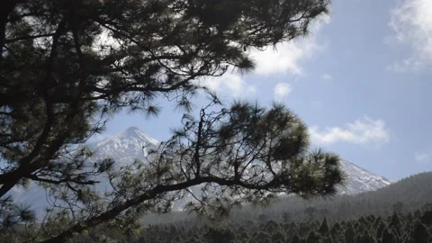 Beautiful mountain view forest pine Tenerife volcano Teide clouds 5 Stock Footage 148540519