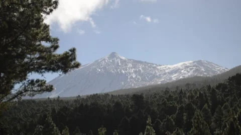 Beautiful mountain view forest pine Tenerife volcano Teide clouds Stock Footage 148540775