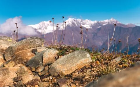 Beautiful mountain view Stock Photos
