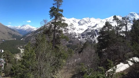 Beautiful mountain view through the trees Stock Footage 89815862